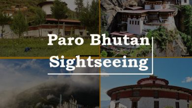 Photo of Why Bhutan Travel Should Be a Must on Everyone’s Bucket List