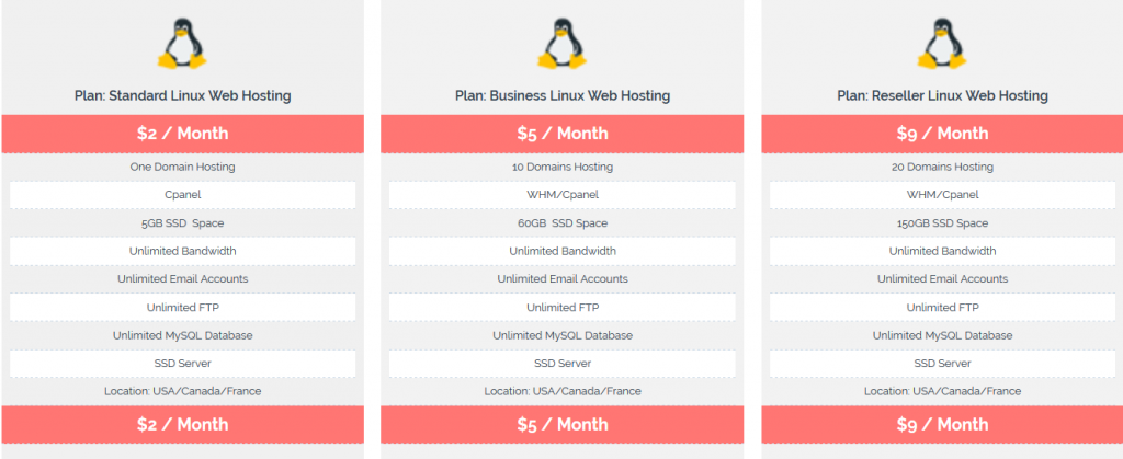 Linux Web Hosting - Onlive Server