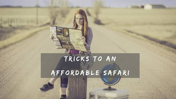 Affordable Safari