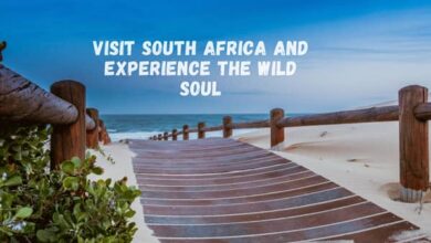 Photo of Visit South Africa and Experience the Wild Soul