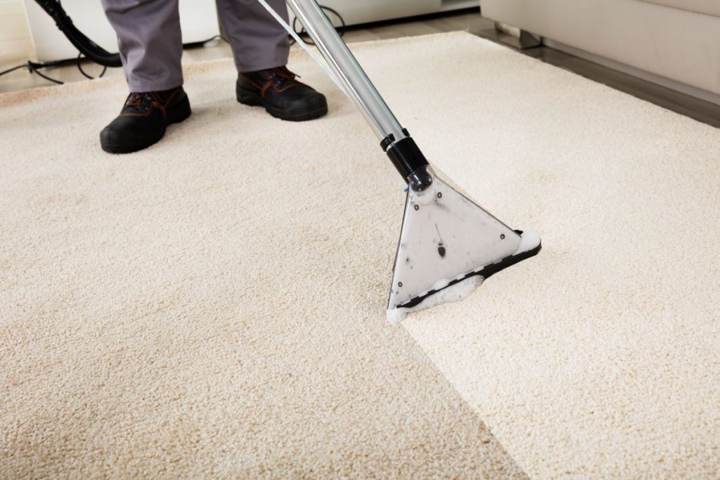 CarpetSteamCleaning