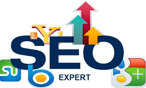 SEO Expert in Delhi