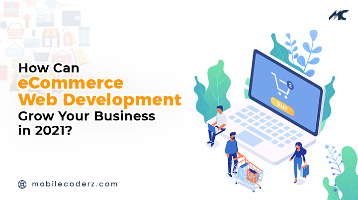 Ecommerce Web App Development