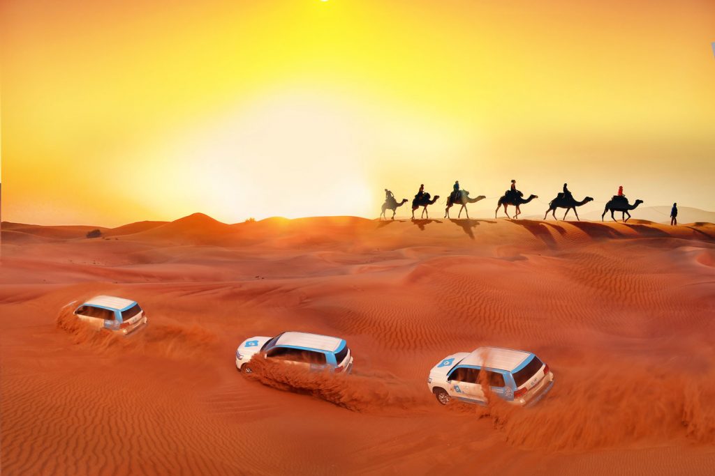 Morning Desert Safari in Dubai