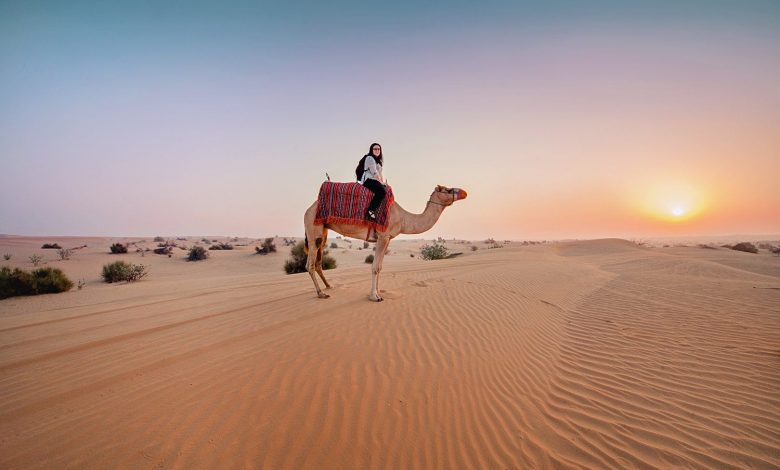 Camel Trekking Dubai