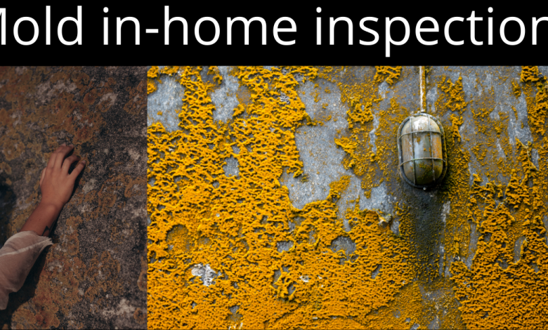 Mold in-home inspections