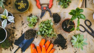 Photo of Handy Gardening Tools for Building an Outstanding Garden