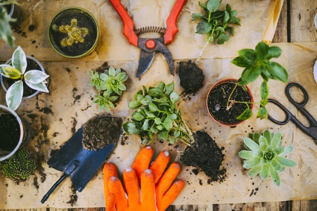 Handy Gardening Tools for Building an Outstanding Garden