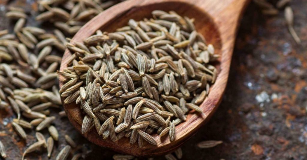 Cumin Seed