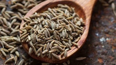 Photo of What is Cumin and how to use it in Cooking?