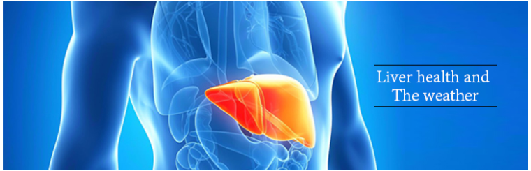 liver transplant in India