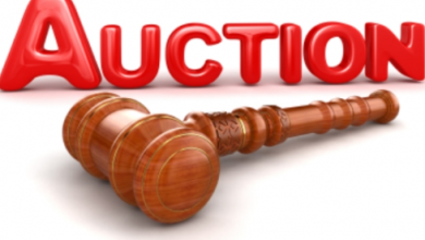 Photo of LEGAL GUIDE TO REAL ESTATE AUCTIONS.