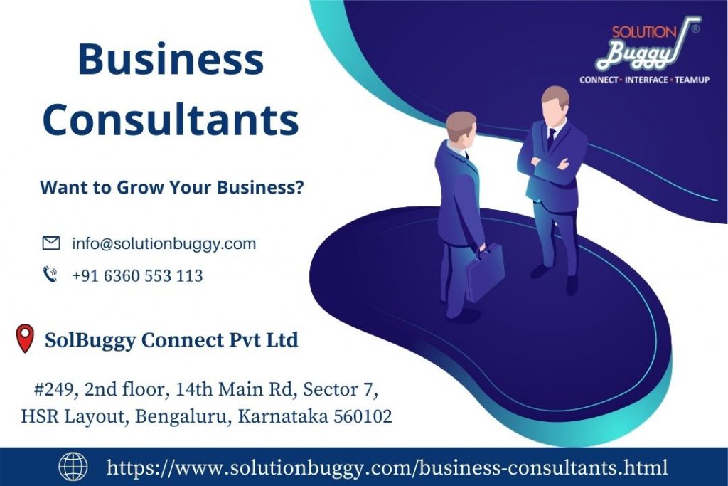 Business Consultant