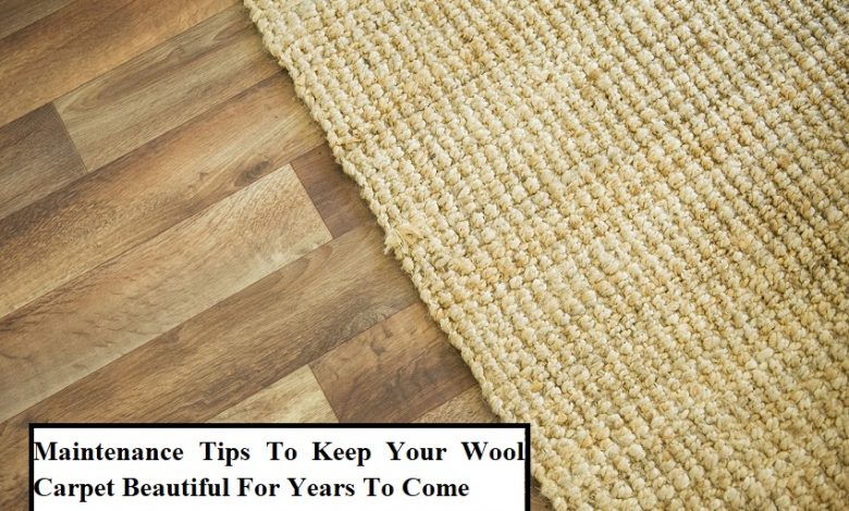 Maintenance Tips To Keep Your Wool Carpet Beautiful For Years To Come