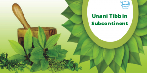 unani tibb course online