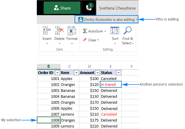 Use-Co-Authoring-In-Excel-4