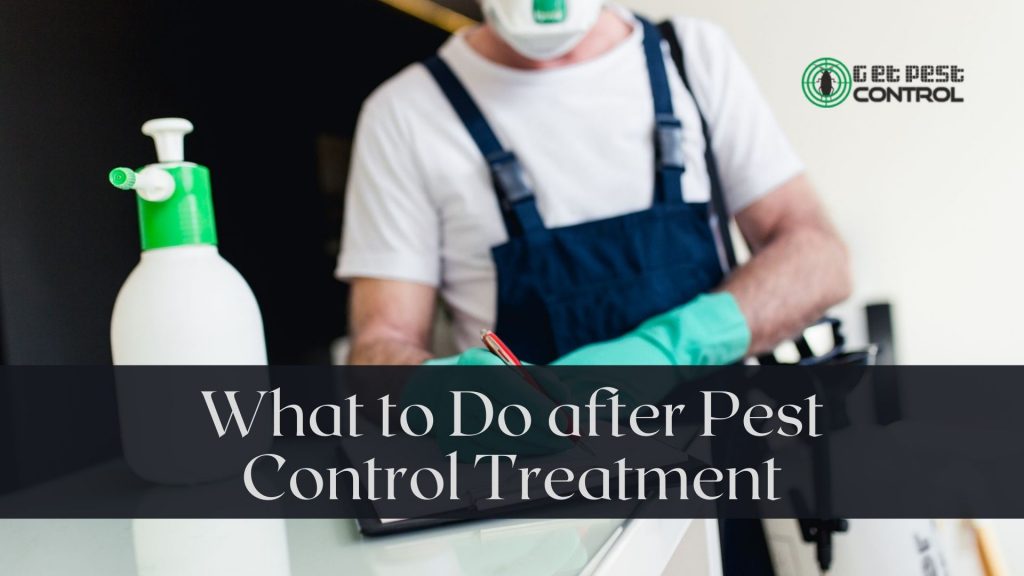 To Do after Pest Control Treatment