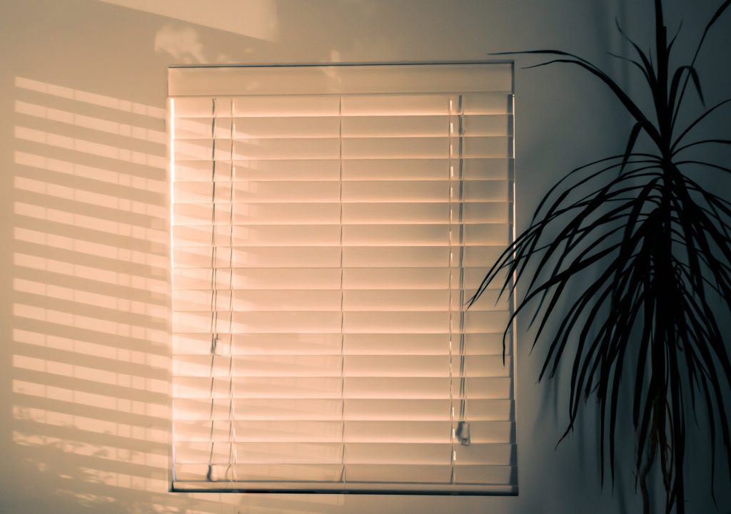 day night blinds