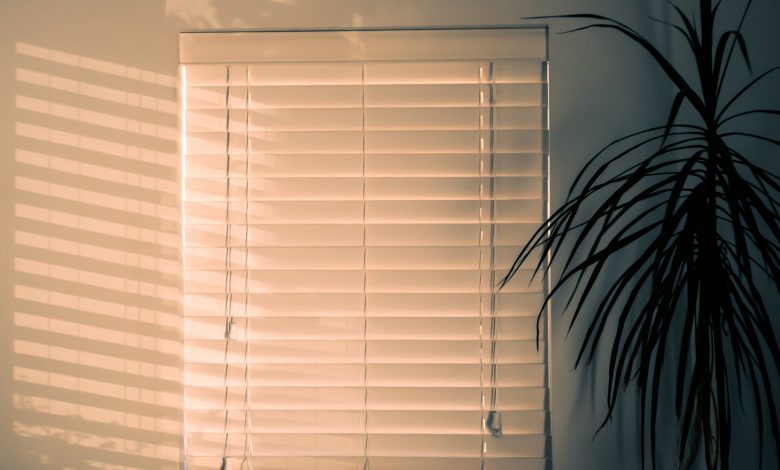 day night blinds