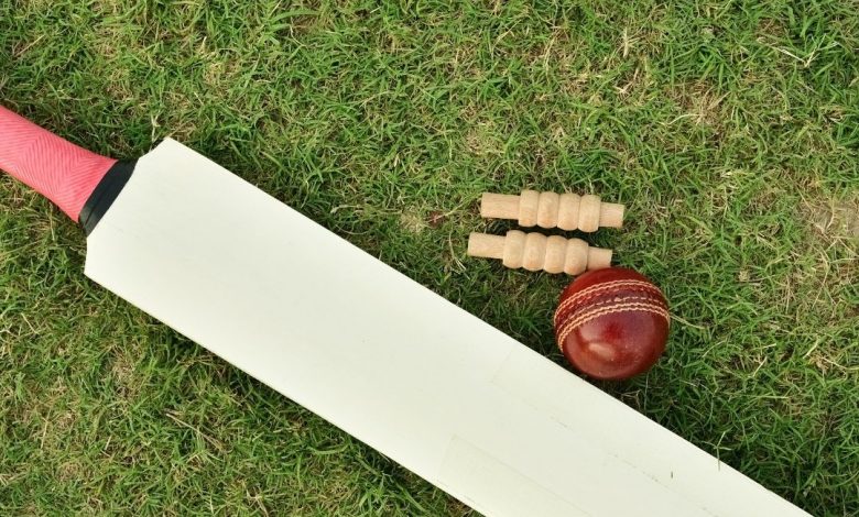 how to play cricket