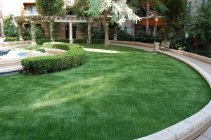 Pet Friendly Artificial Grass