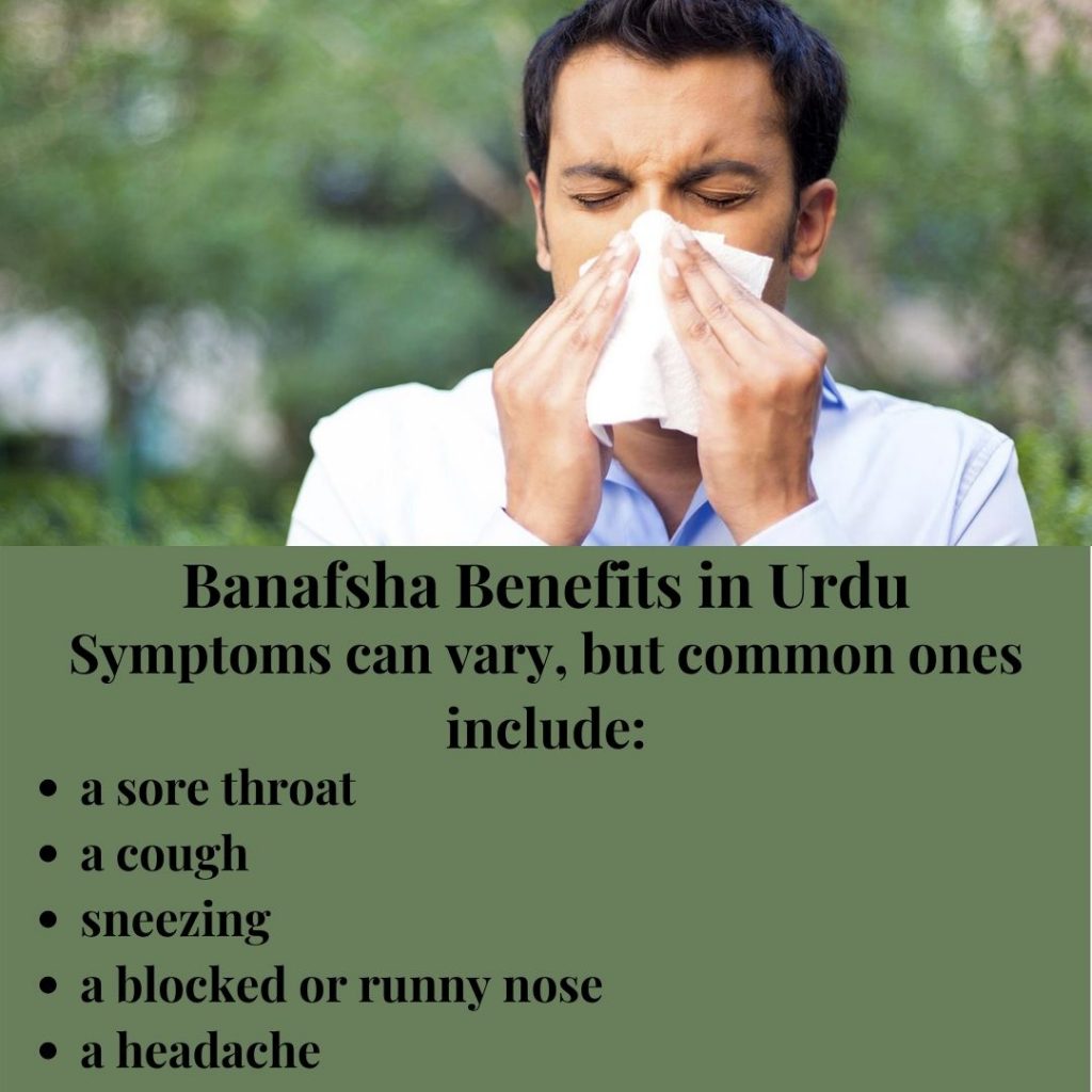 Banafsha Benefits in Urdu