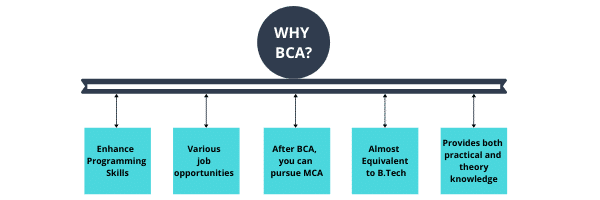 BCA distance education in Chandigarh