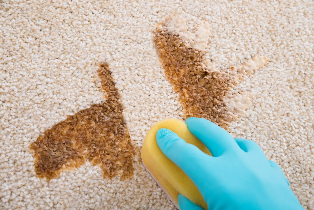 Carpet Stain Removal