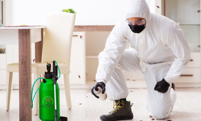 pest-control-surrey-bc