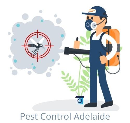 Pest Control Adelaide