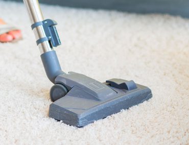 carpet cleaning kenmore