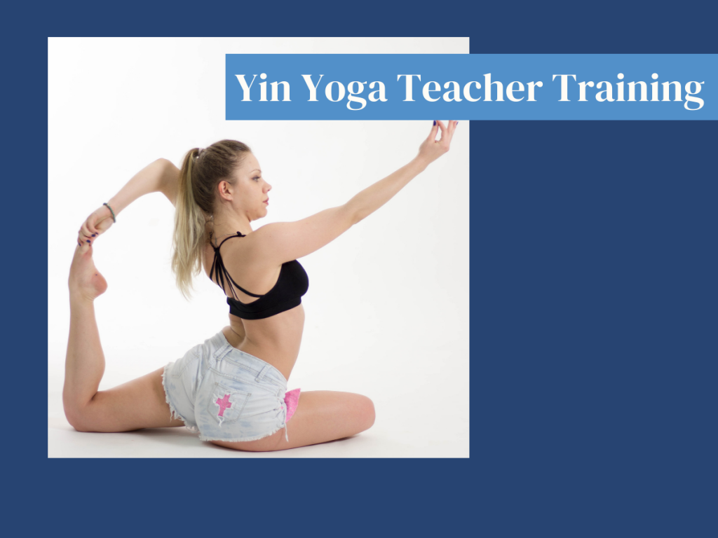 yin yoga teacher training