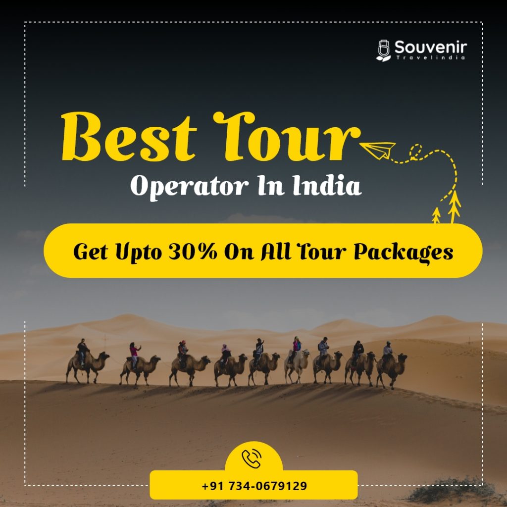 best tour operator in india