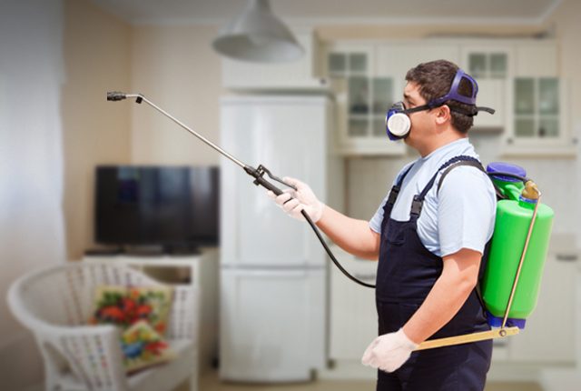 pest extermination services in New York