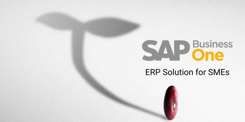 sap business one