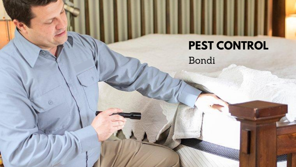 pest control Bondi