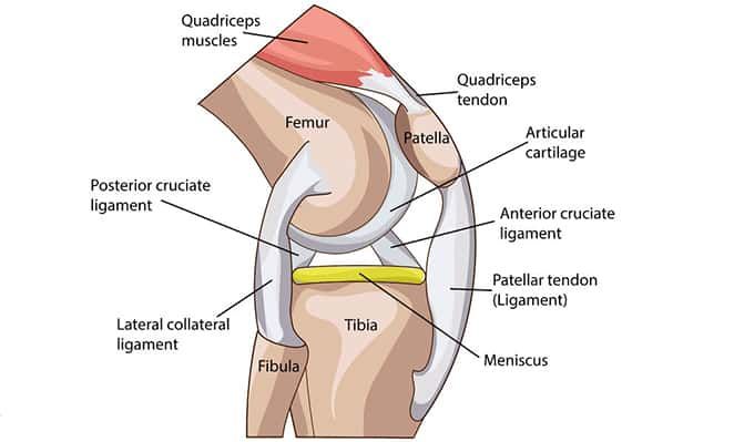 Does-Meniscal-Cyst-Cause-knee-pain-when-squatting