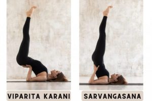 iparita-karani-and-sarvangasana