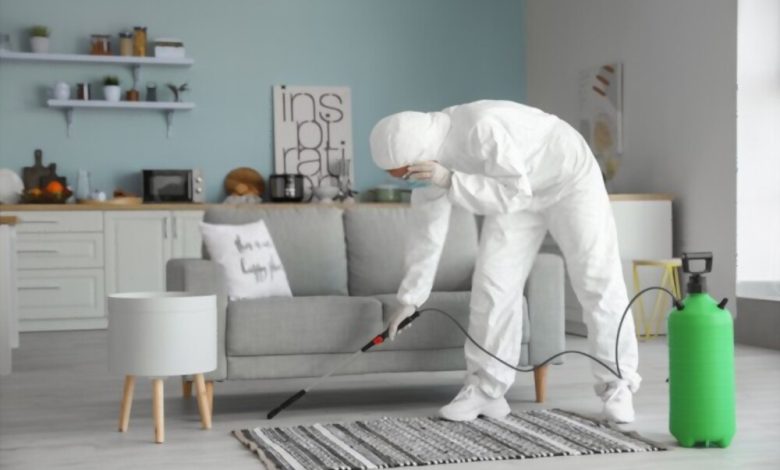 Best Pest control company in Dubai