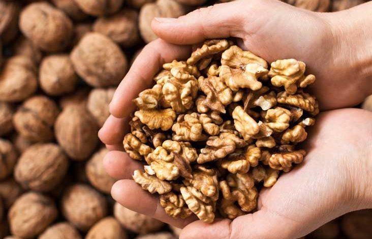 best quality walnuts