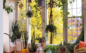 Photo of Benefits of Using Artificial Wall Plant For Wall Decoration