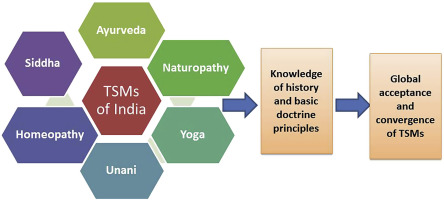 history of Ayurveda and its principles