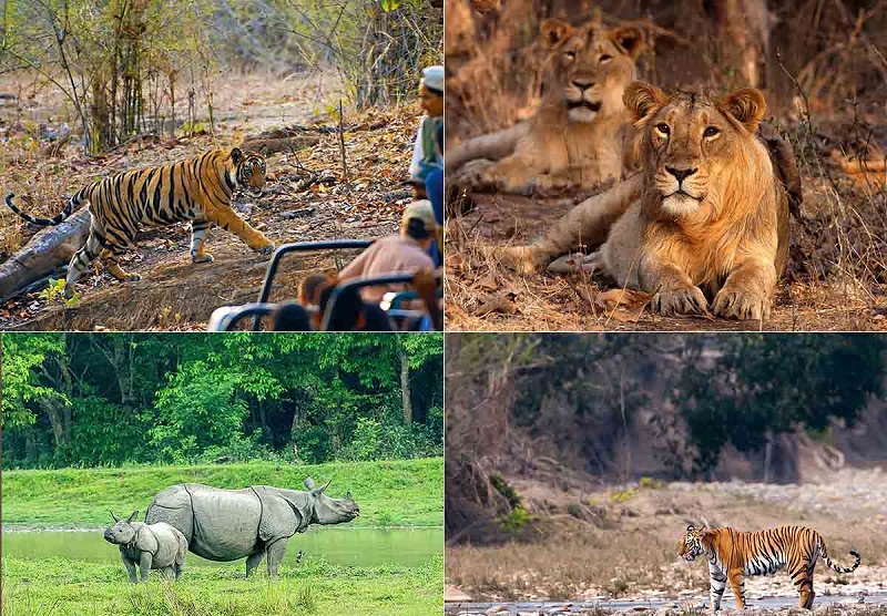 National Parks and Wildlife Sanctuaries in India