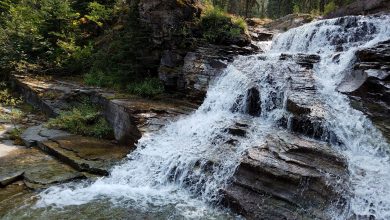 Photo of How to find water outdoors-gravity water filter?